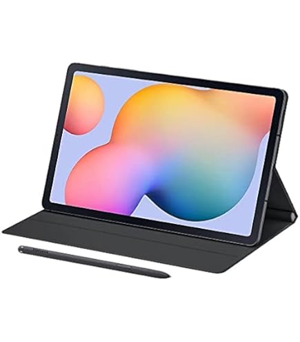 Amazon.com : Samsung Galaxy Tab S6 Lite 2022 10.4